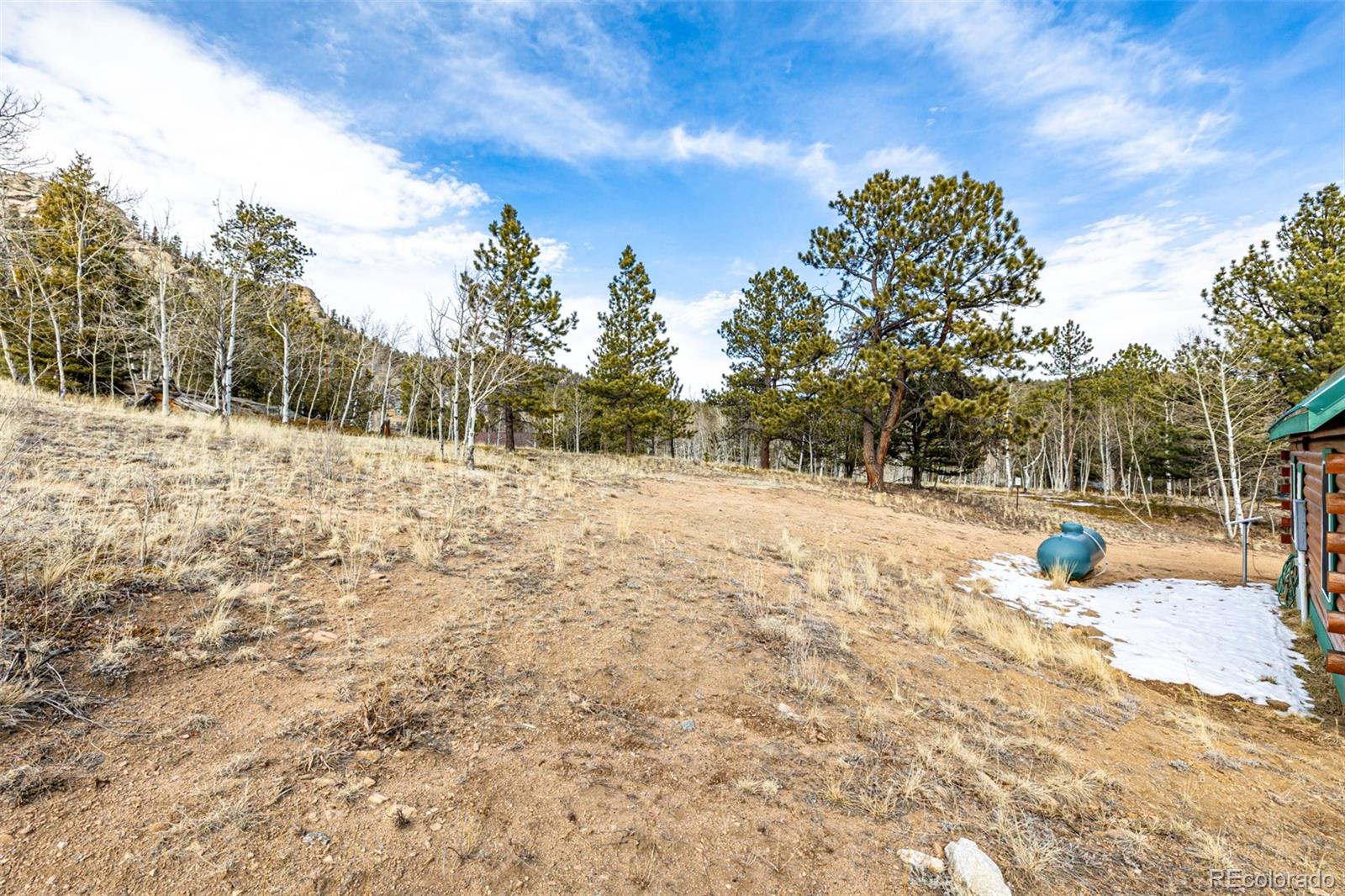 MLS Image #31 for 116  dakota path,lake george, Colorado