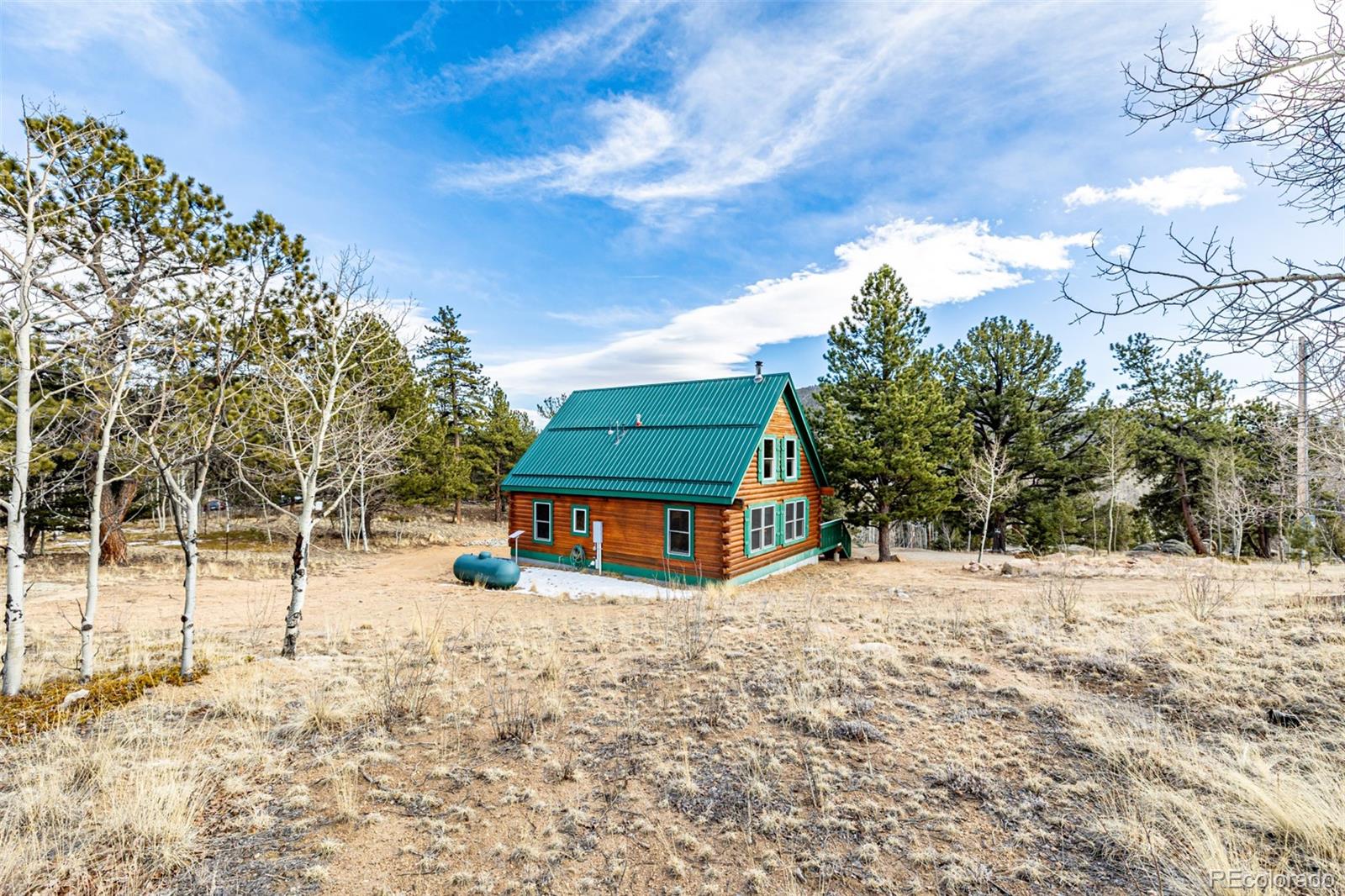MLS Image #32 for 116  dakota path,lake george, Colorado