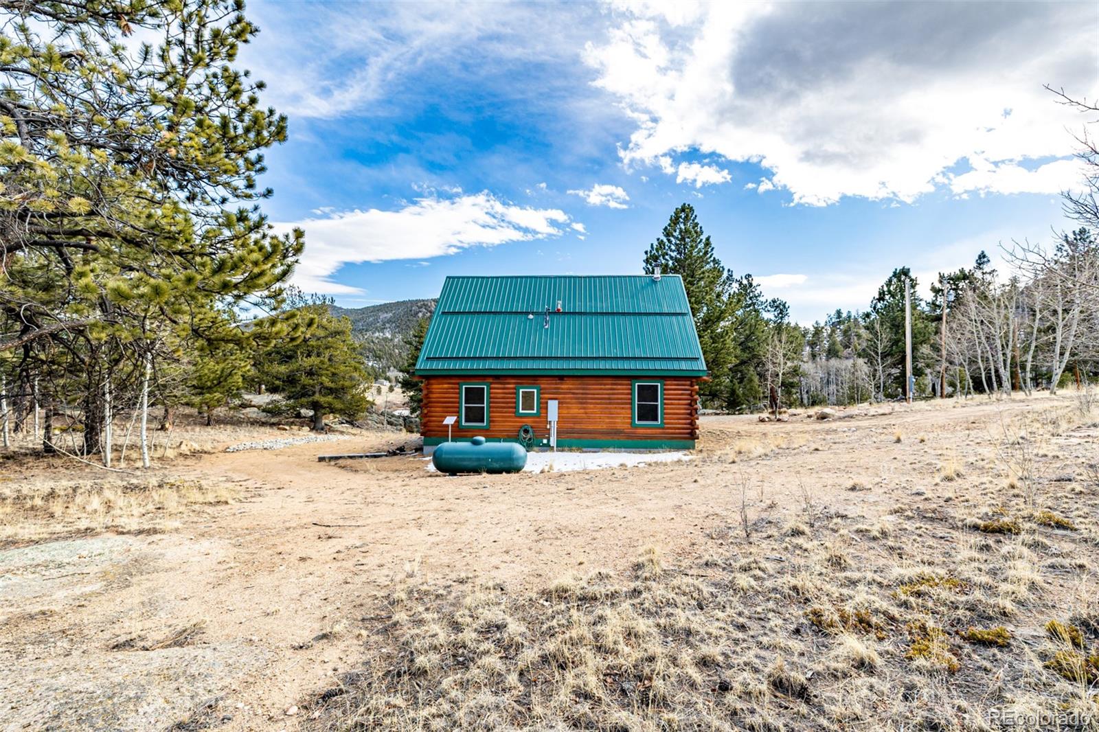 MLS Image #33 for 116  dakota path,lake george, Colorado