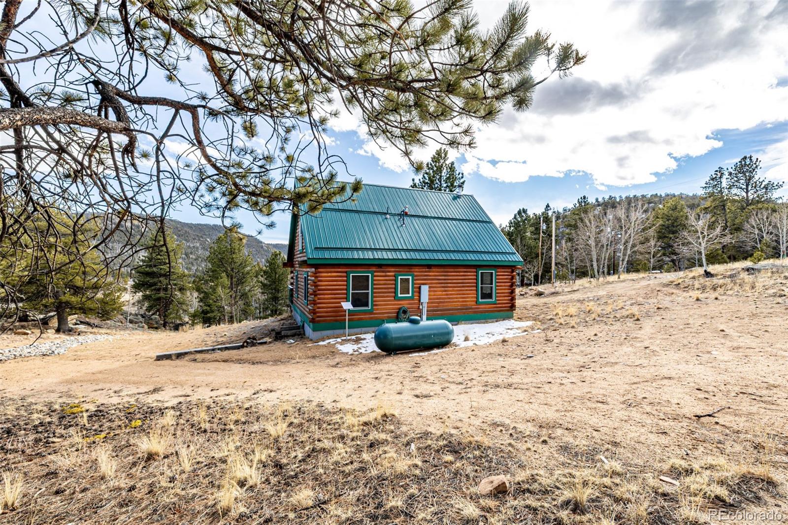 MLS Image #34 for 116  dakota path,lake george, Colorado