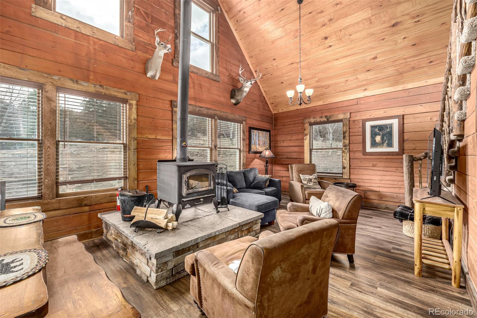 MLS Image #5 for 116  dakota path,lake george, Colorado
