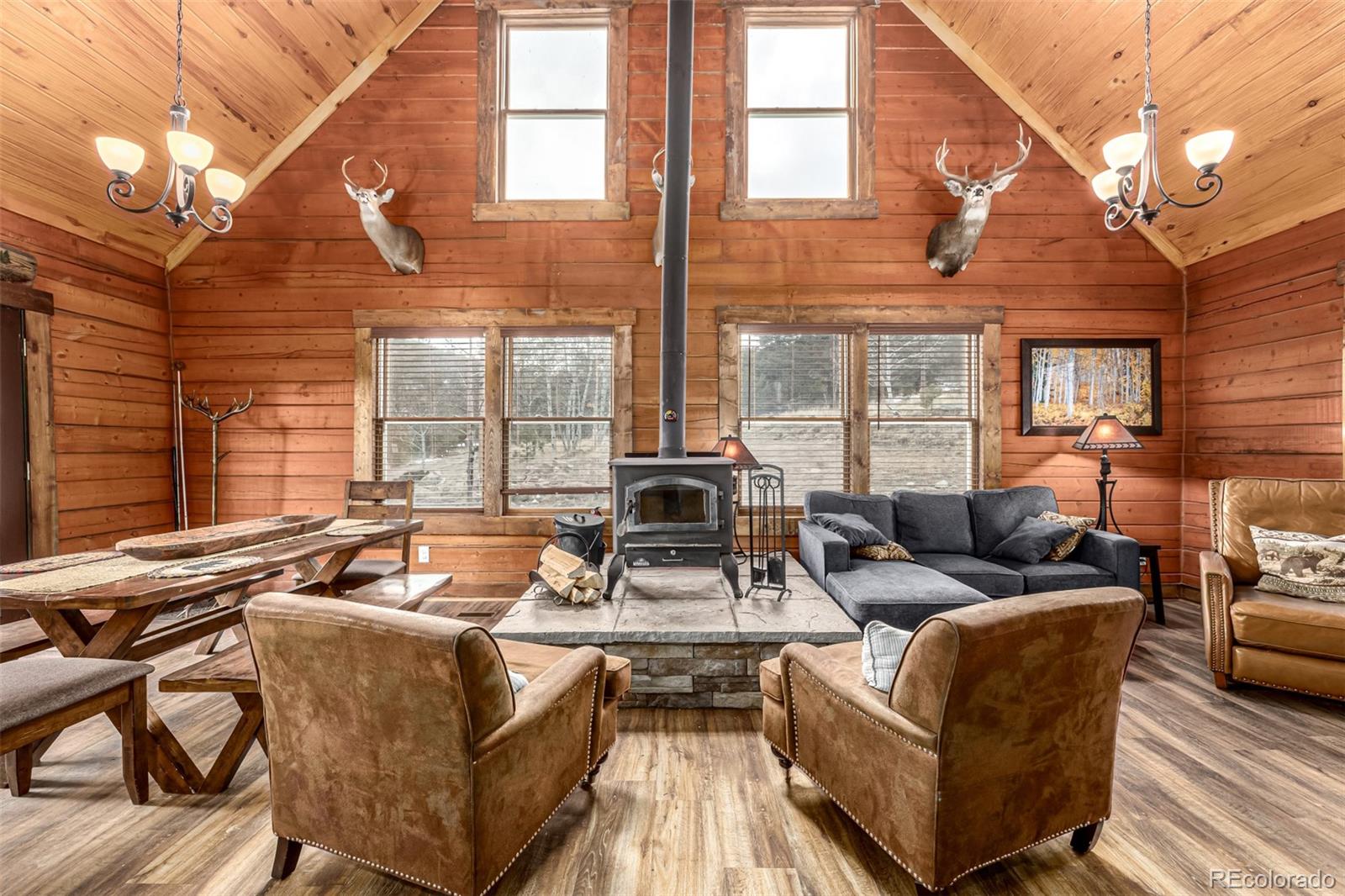 MLS Image #6 for 116  dakota path,lake george, Colorado