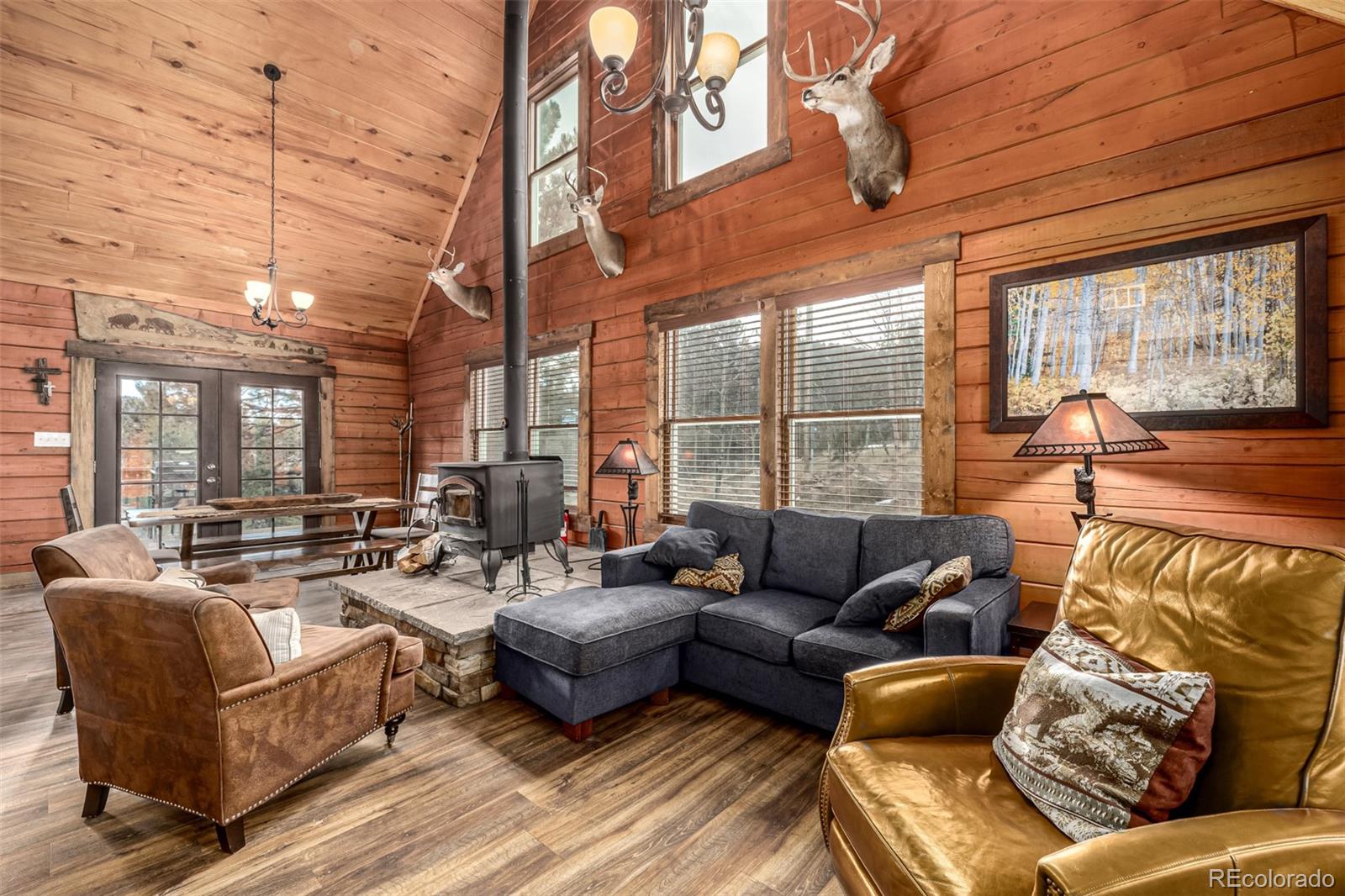 MLS Image #7 for 116  dakota path,lake george, Colorado