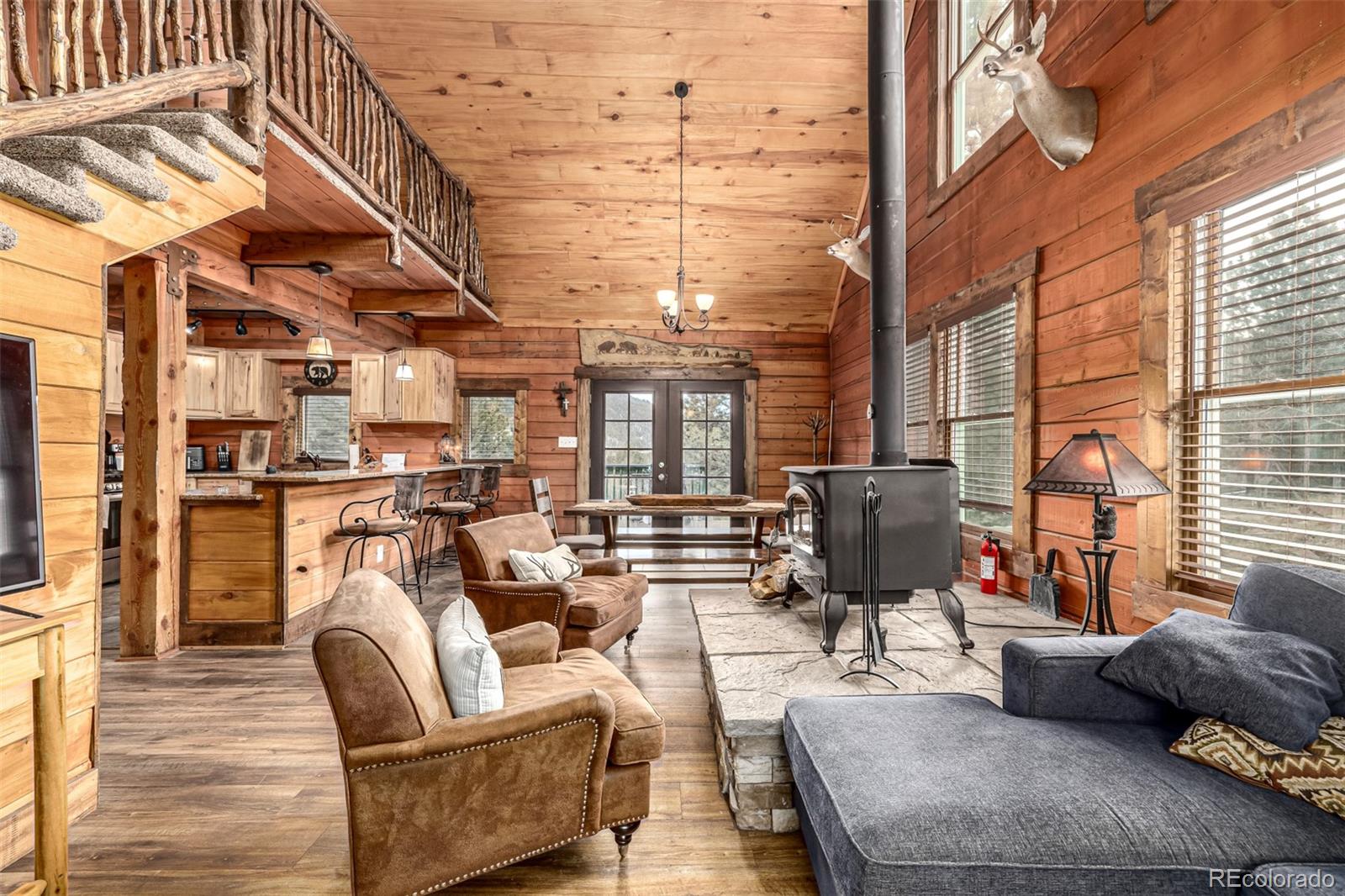 MLS Image #8 for 116  dakota path,lake george, Colorado