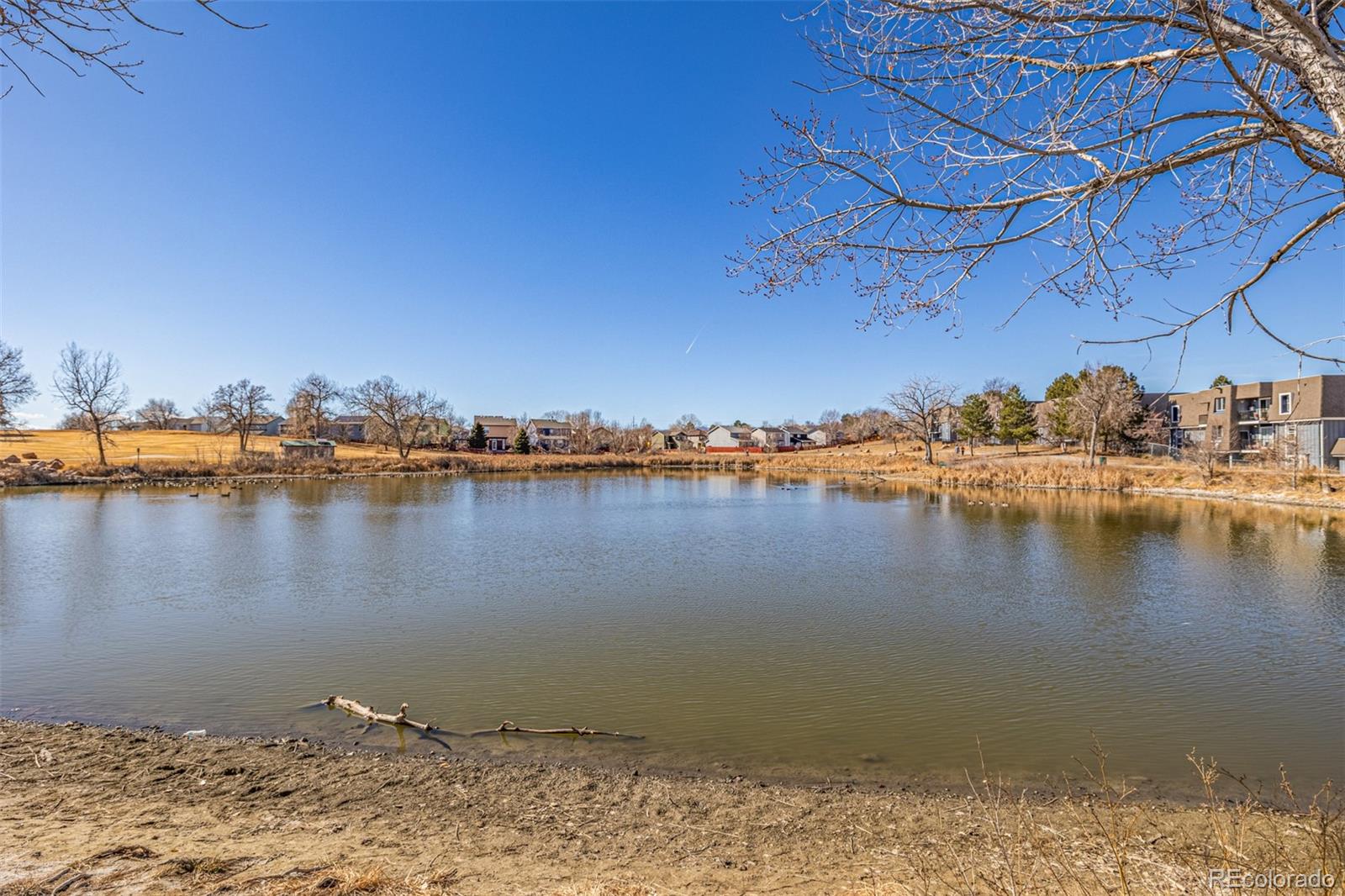 MLS Image #24 for 2241  coronado parkway,denver, Colorado