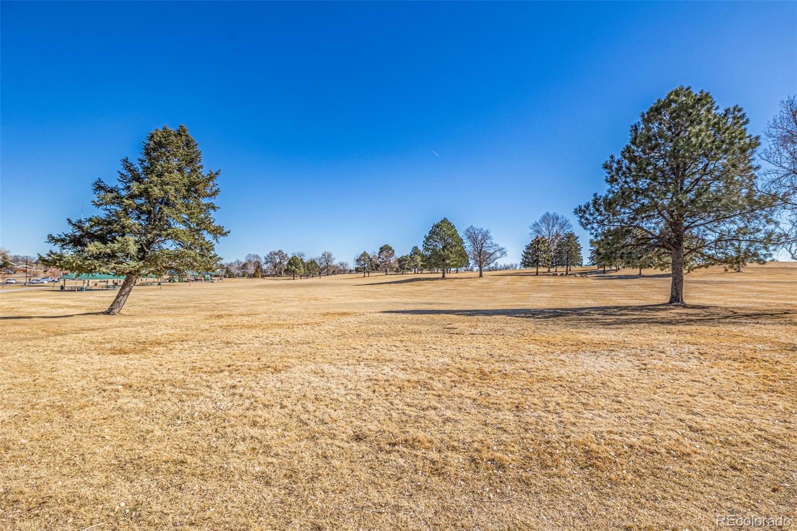 MLS Image #25 for 2241  coronado parkway,denver, Colorado