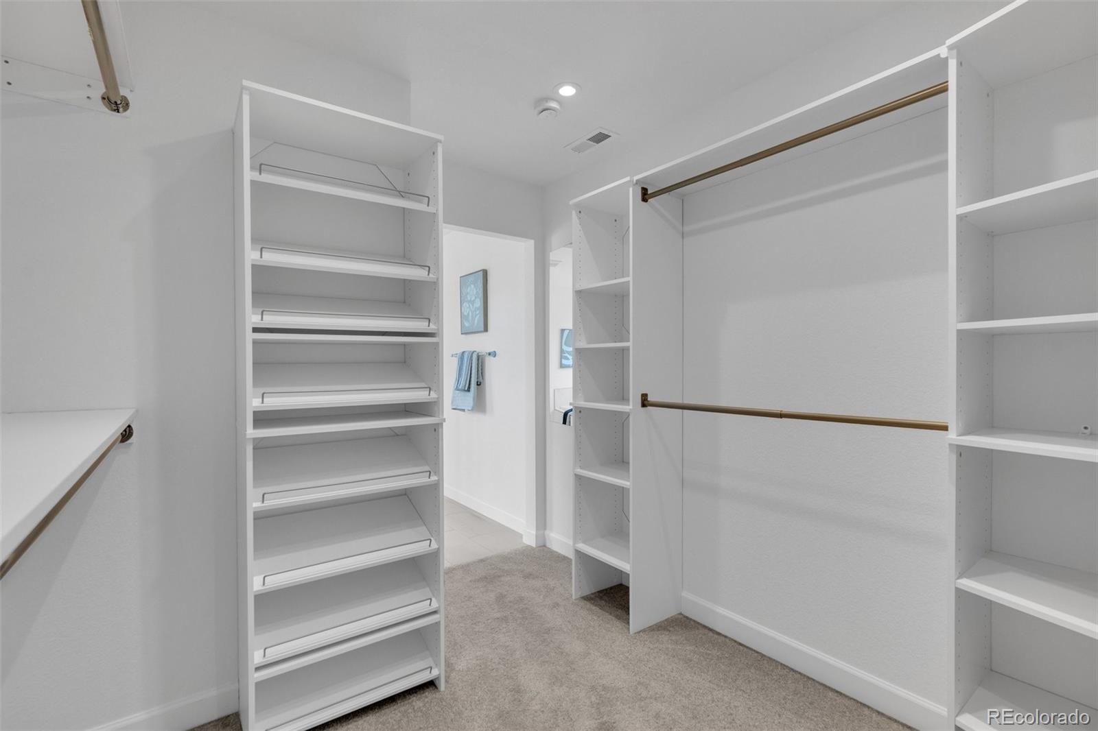 MLS Image #39 for 5230  ditmars lane,castle rock, Colorado