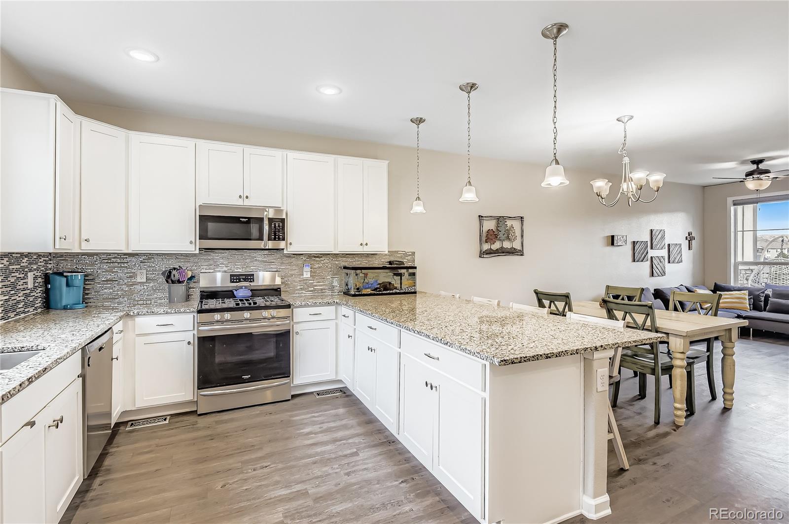 MLS Image #4 for 1610  castle creek circle,castle rock, Colorado