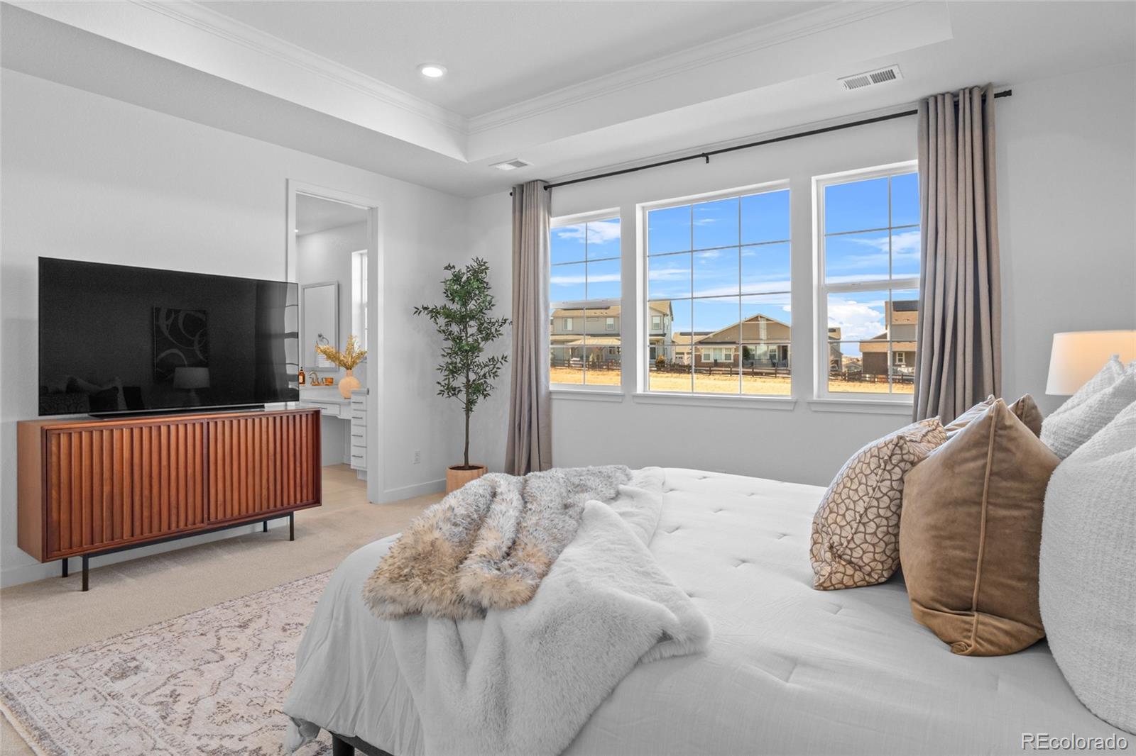 MLS Image #20 for 2851  fellswoop drive,castle rock, Colorado