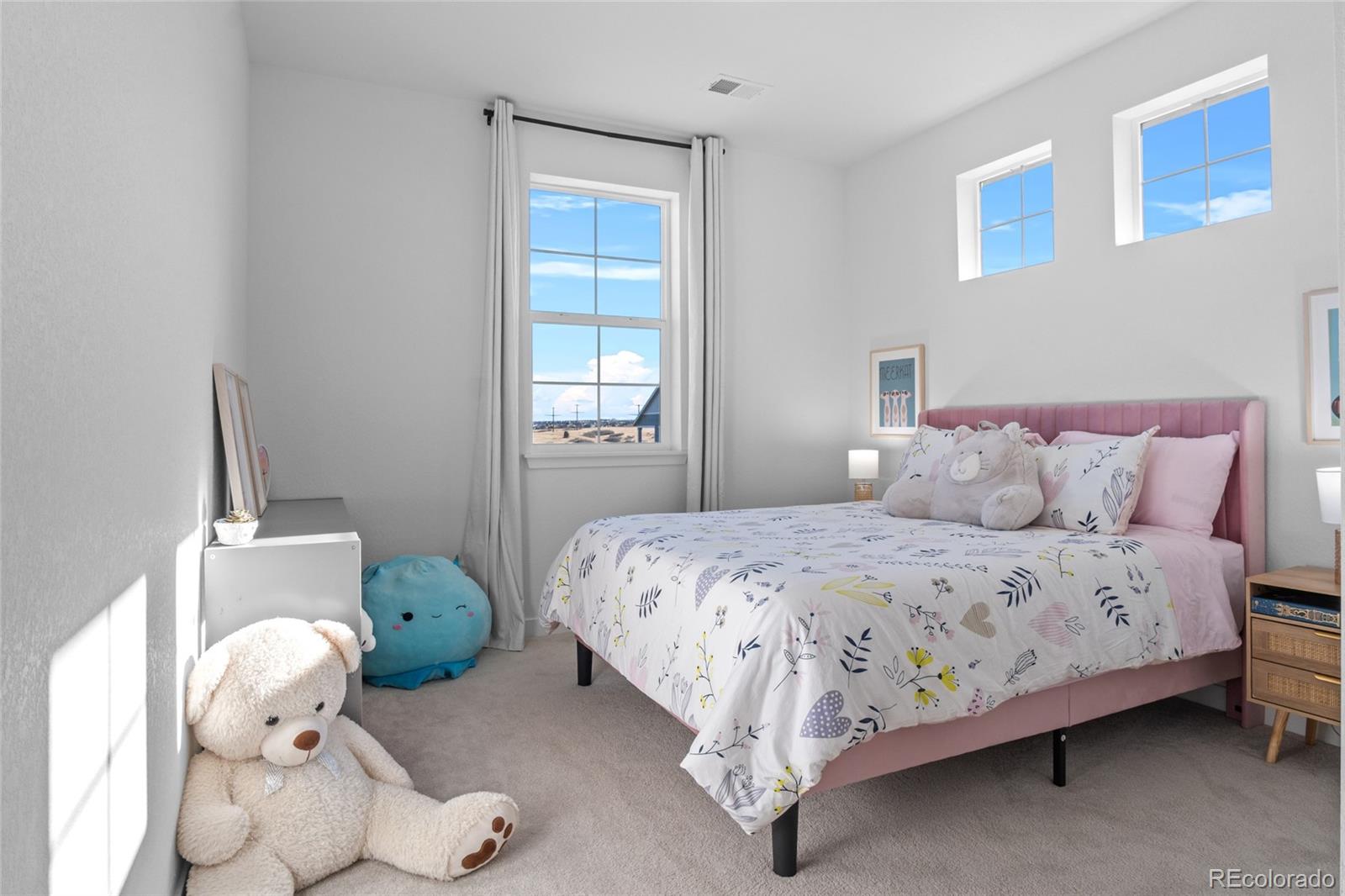MLS Image #28 for 2851  fellswoop drive,castle rock, Colorado