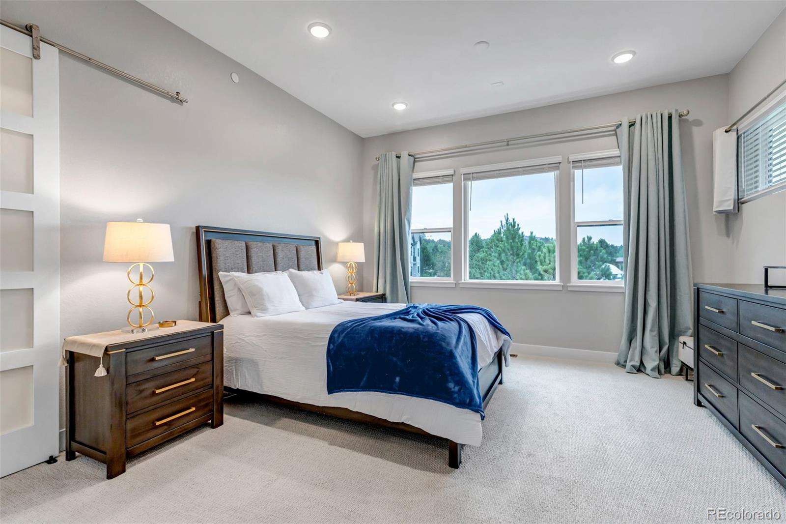 MLS Image #17 for 7015  homeplace street,castle rock, Colorado