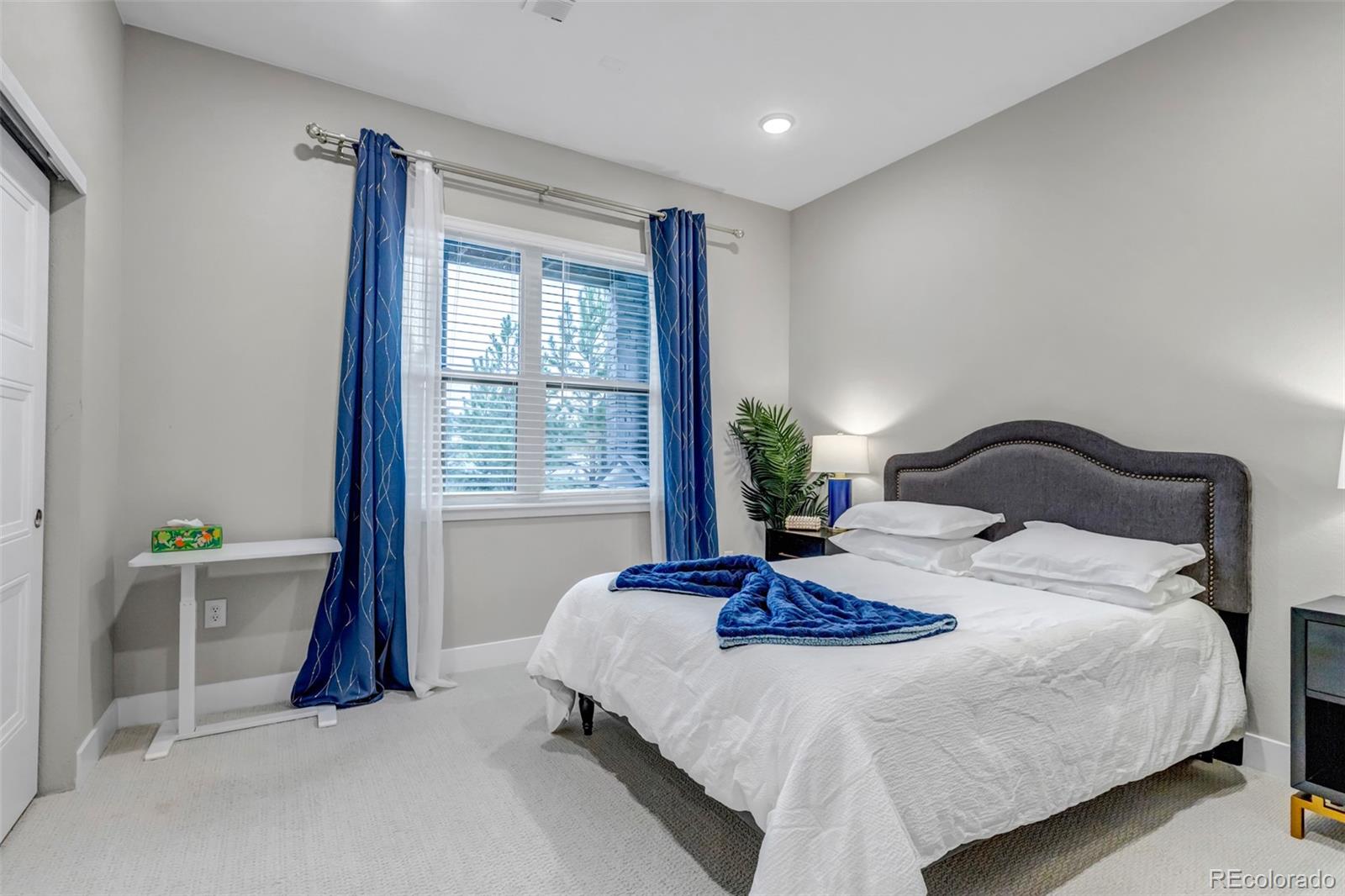 MLS Image #38 for 7015  homeplace street,castle rock, Colorado