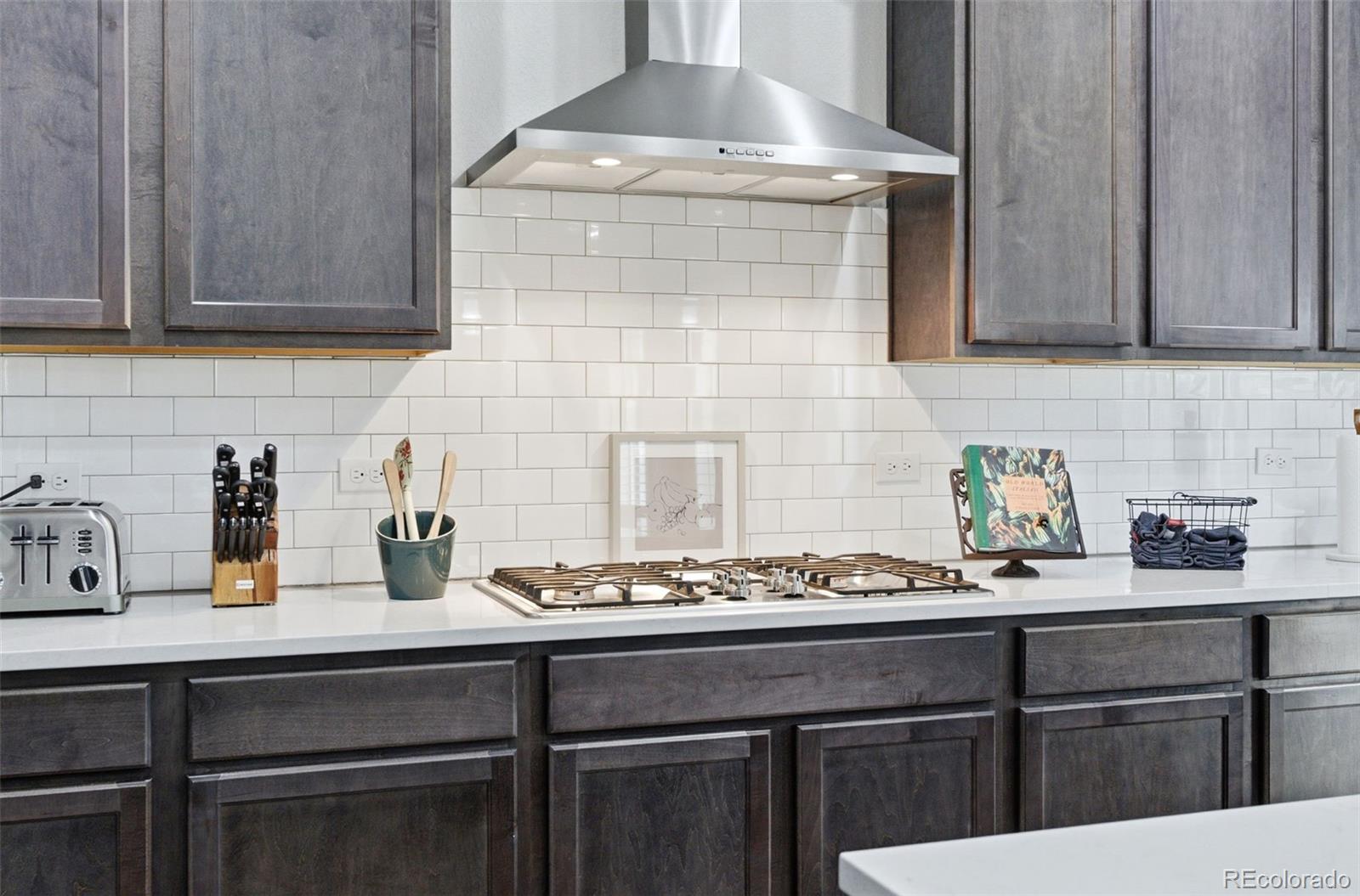 MLS Image #13 for 68  western sky circle,longmont, Colorado