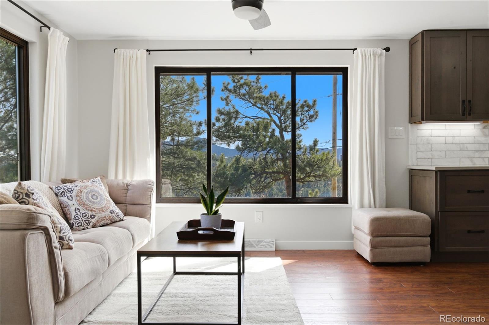 MLS Image #5 for 3155  chestnut circle,evergreen, Colorado
