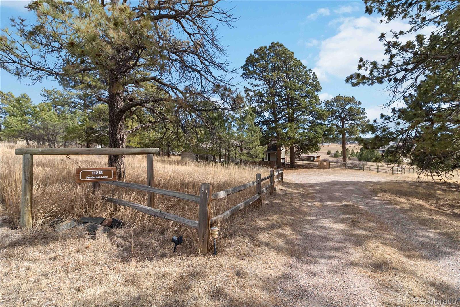 MLS Image #3 for 11218  ponderosa lane,franktown, Colorado