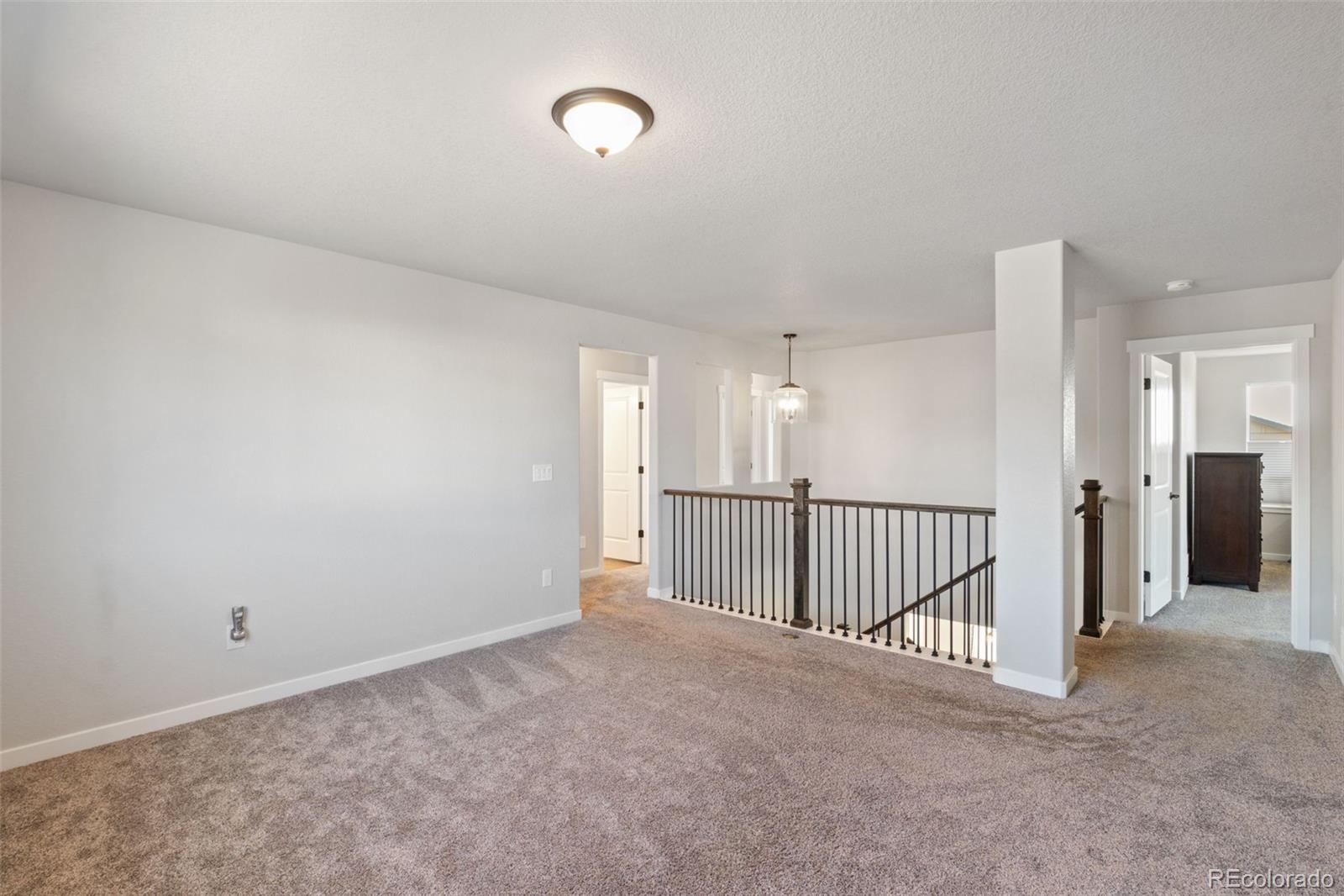 MLS Image #14 for 10062  antelope ravine drive,colorado springs, Colorado