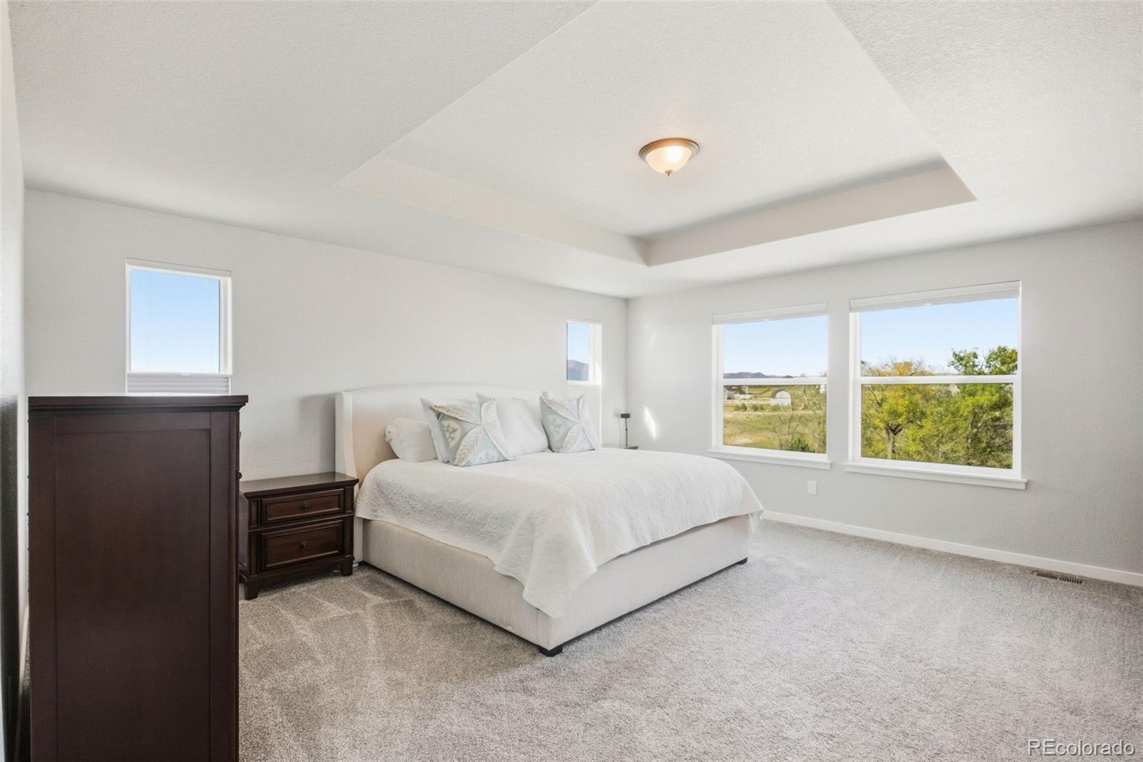 MLS Image #16 for 10062  antelope ravine drive,colorado springs, Colorado