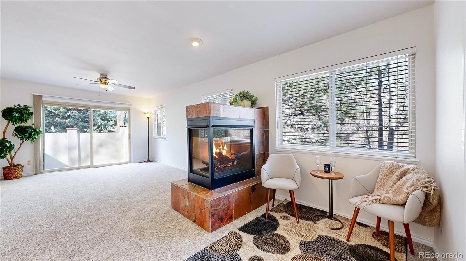 MLS Image #12 for 10507  brown fox trail,littleton, Colorado