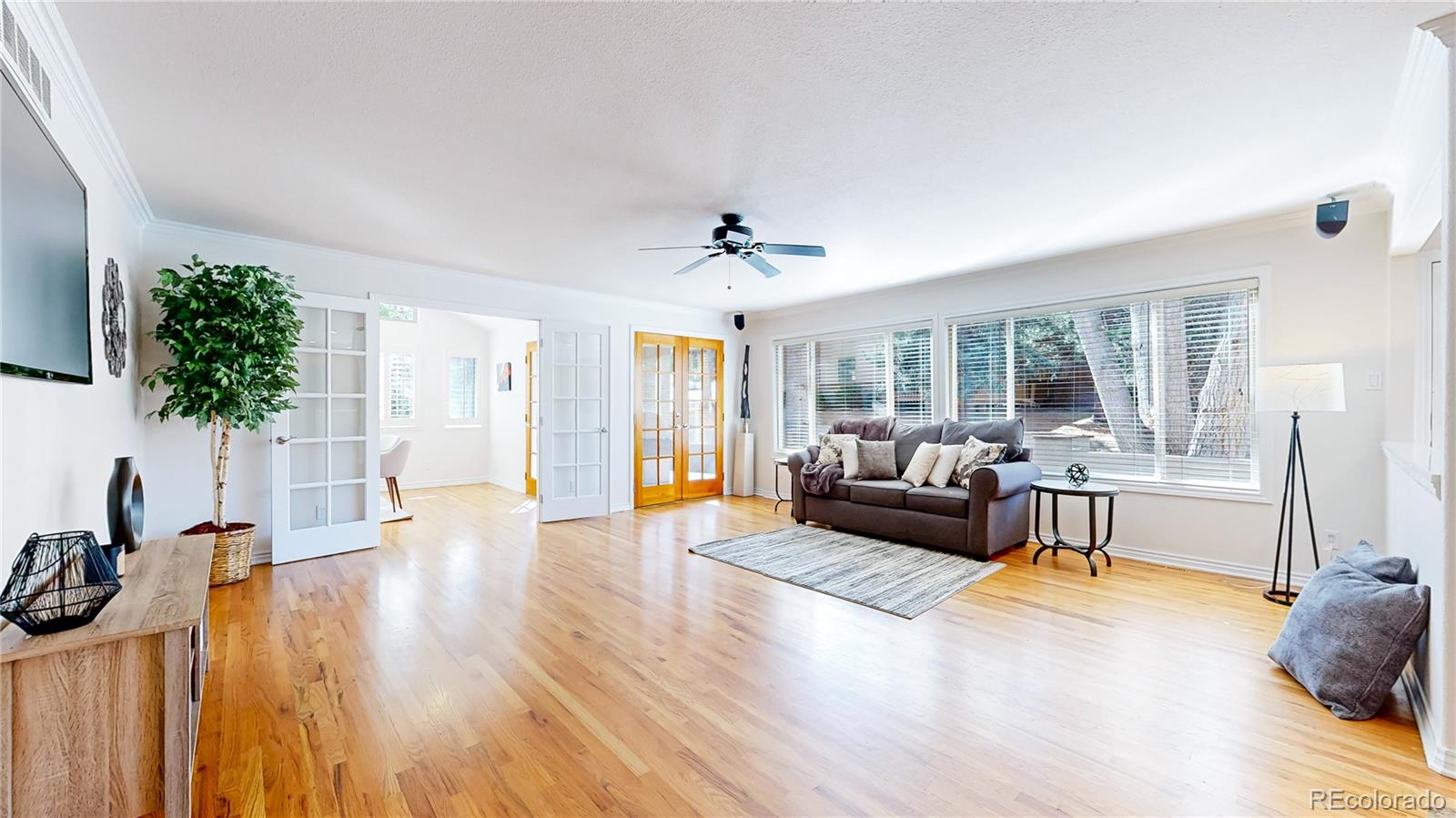 MLS Image #6 for 10507  brown fox trail,littleton, Colorado