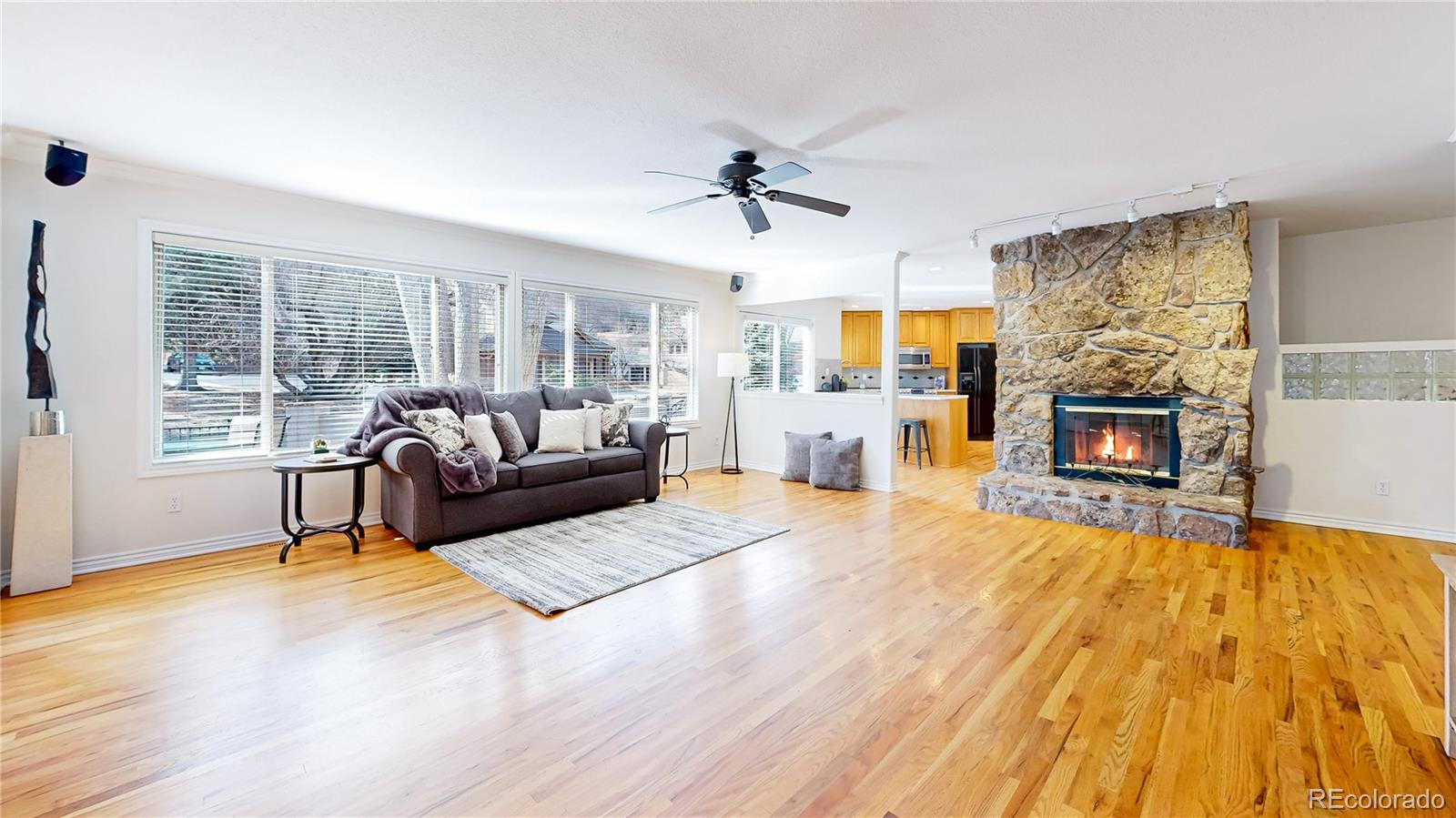 MLS Image #7 for 10507  brown fox trail,littleton, Colorado
