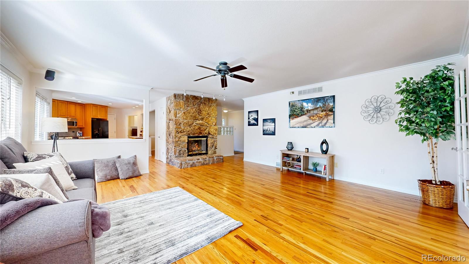 MLS Image #8 for 10507  brown fox trail,littleton, Colorado