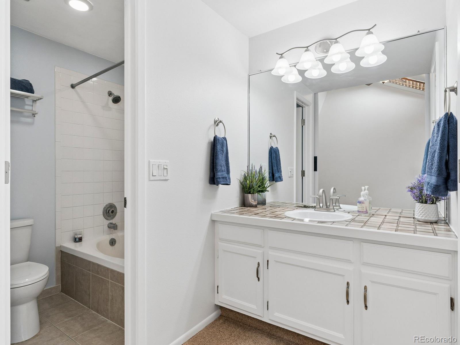 MLS Image #15 for 2885 w long circle,littleton, Colorado