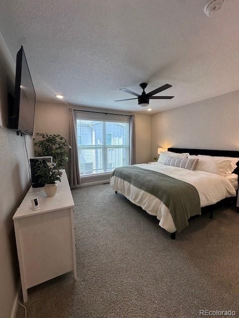 MLS Image #21 for 3460  drumlin grove,colorado springs, Colorado