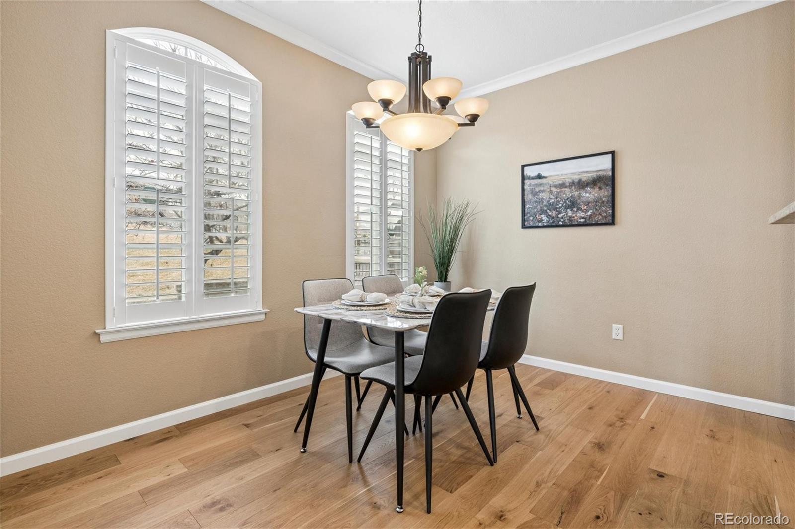 MLS Image #15 for 485  elmhurst way,highlands ranch, Colorado