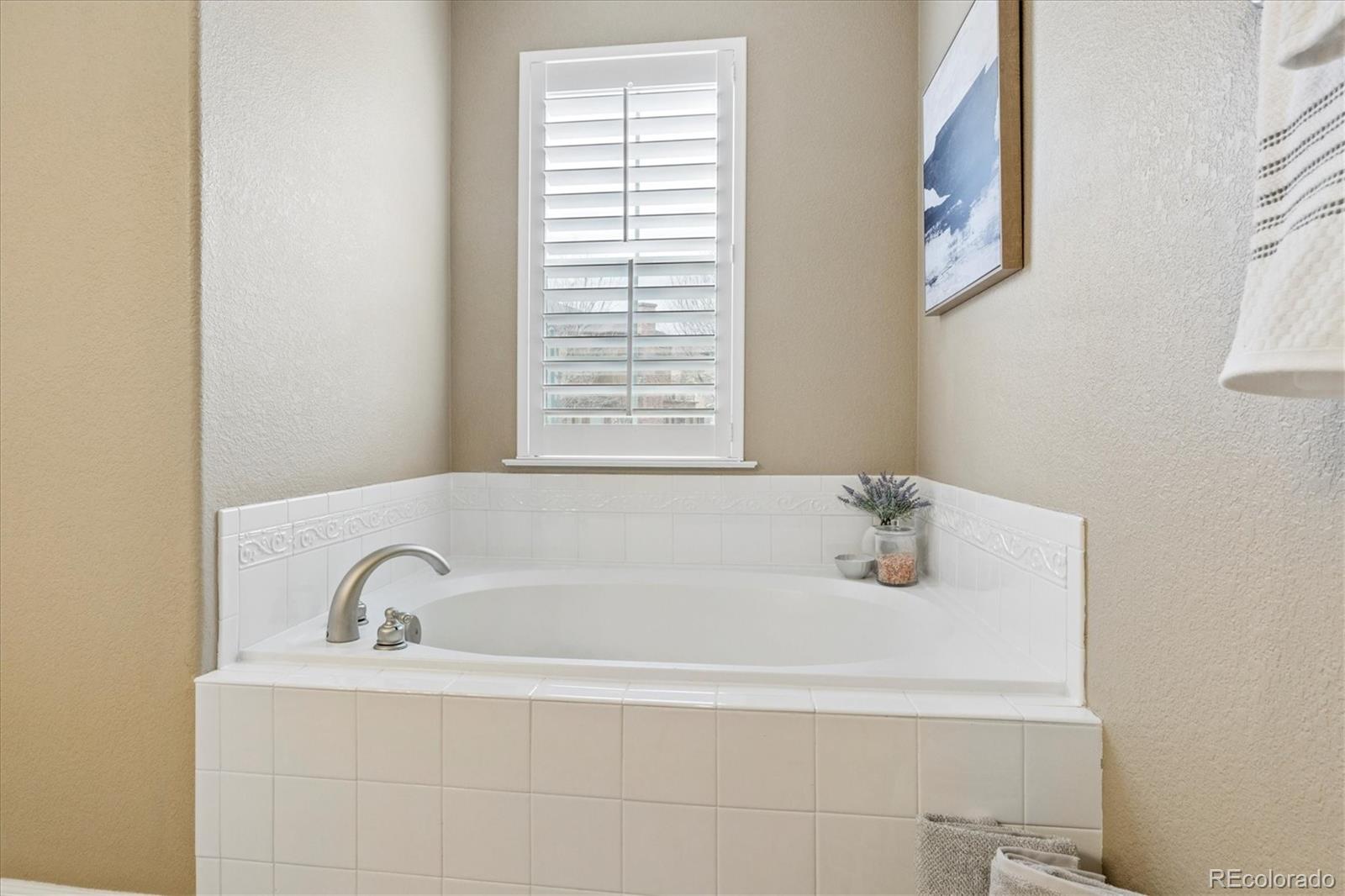 MLS Image #32 for 485  elmhurst way,highlands ranch, Colorado
