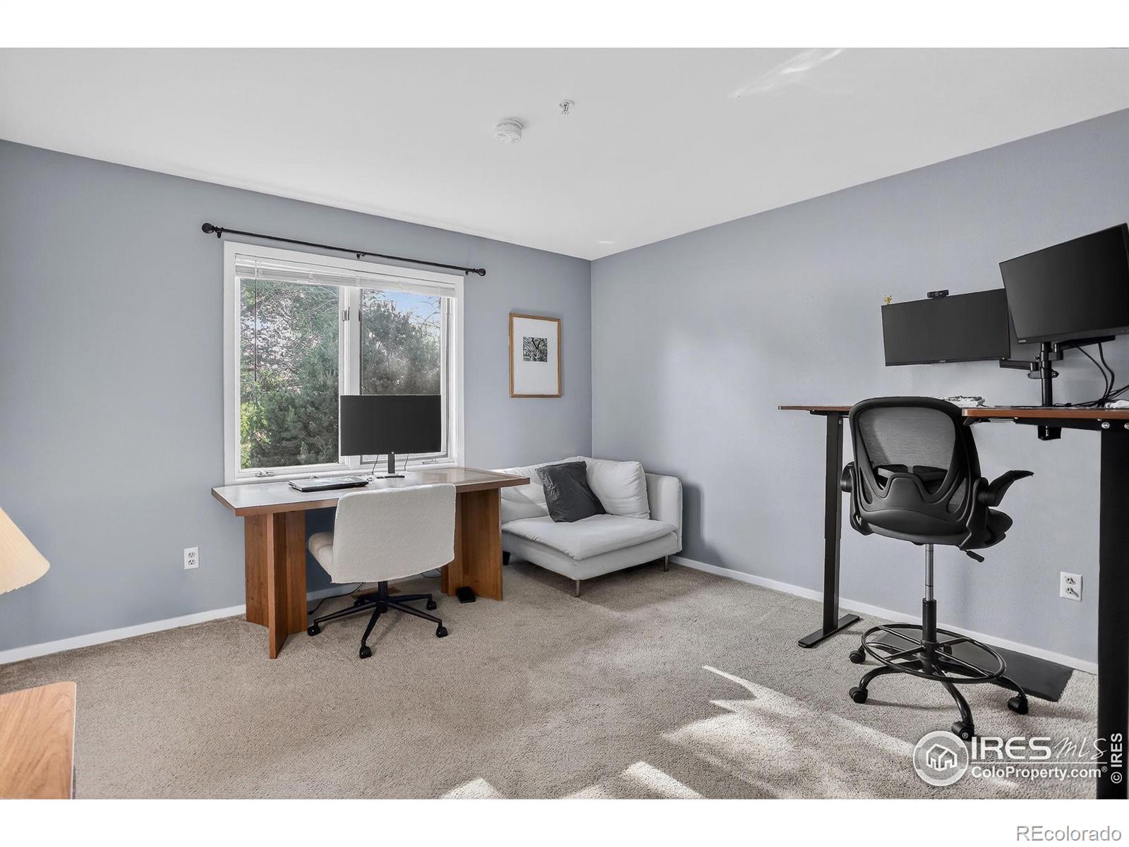 MLS Image #14 for 2954  kalmia avenue,boulder, Colorado