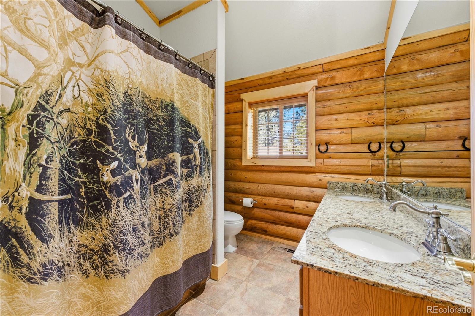 MLS Image #22 for 73  big horn lane,florissant, Colorado