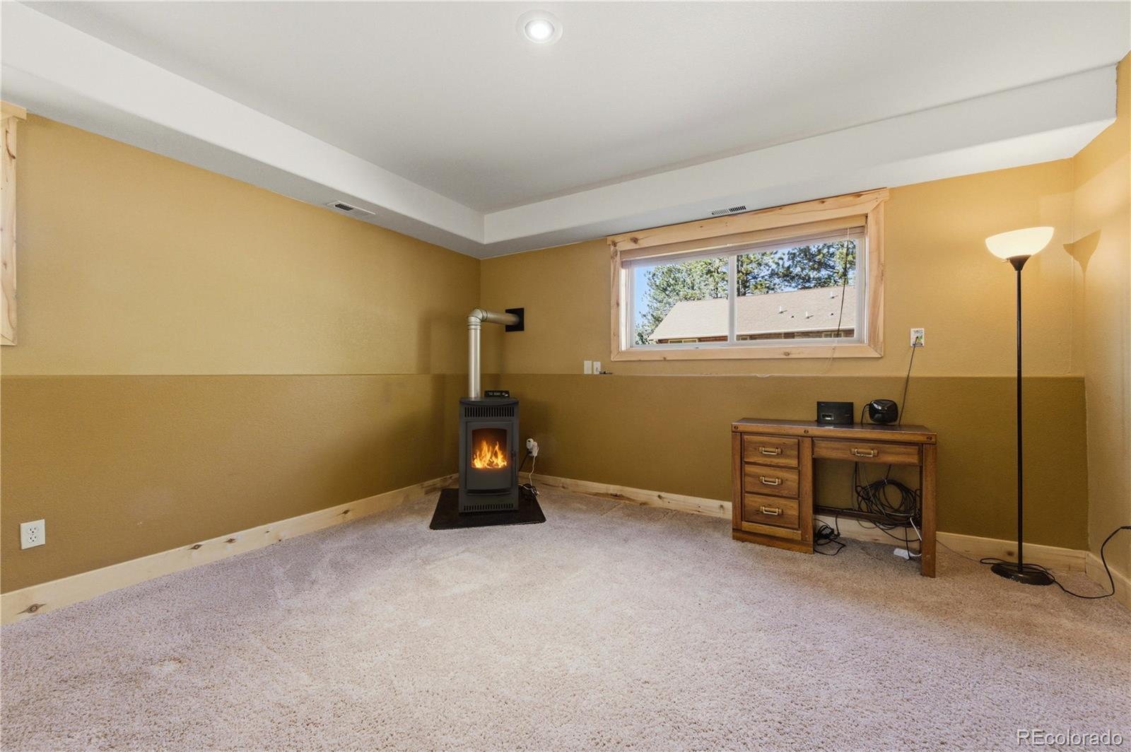 MLS Image #28 for 73  big horn lane,florissant, Colorado