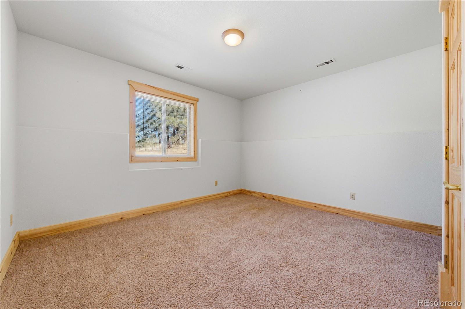 MLS Image #33 for 73  big horn lane,florissant, Colorado