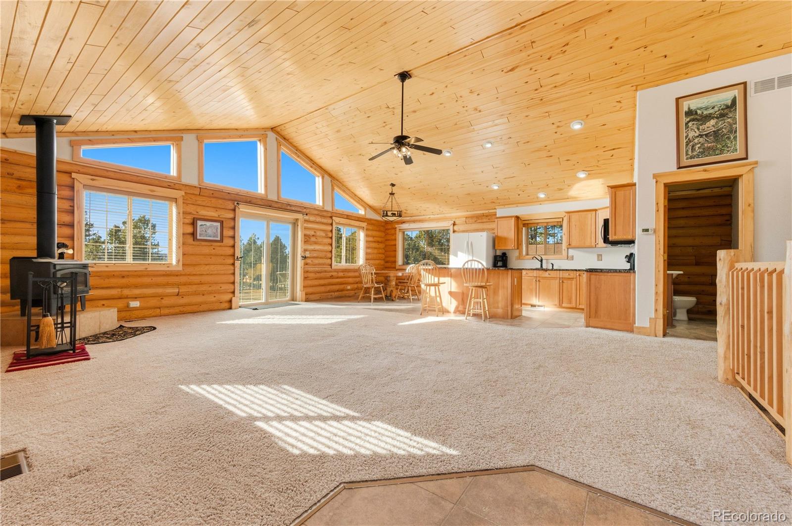 MLS Image #6 for 73  big horn lane,florissant, Colorado