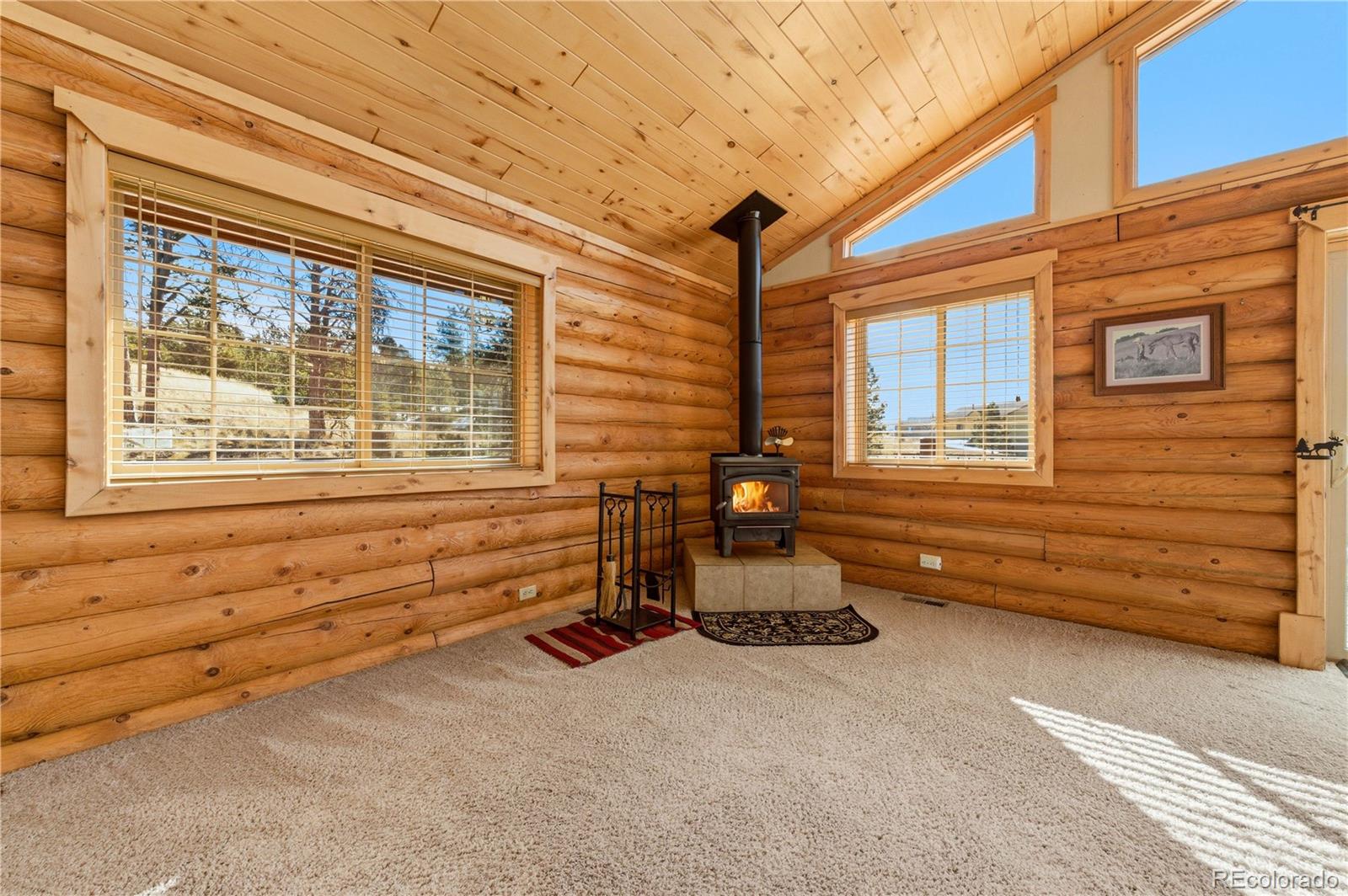MLS Image #7 for 73  big horn lane,florissant, Colorado