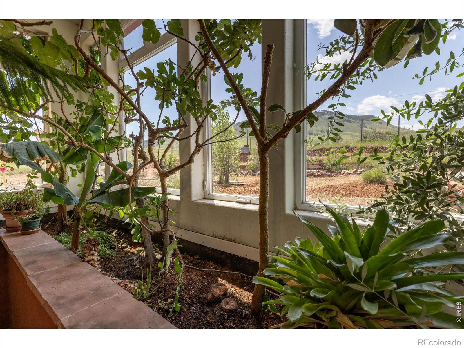 MLS Image #13 for 108  lonestar road,lyons, Colorado