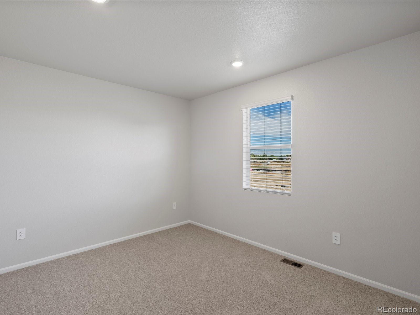 MLS Image #13 for 1637  yampa river drive,windsor, Colorado