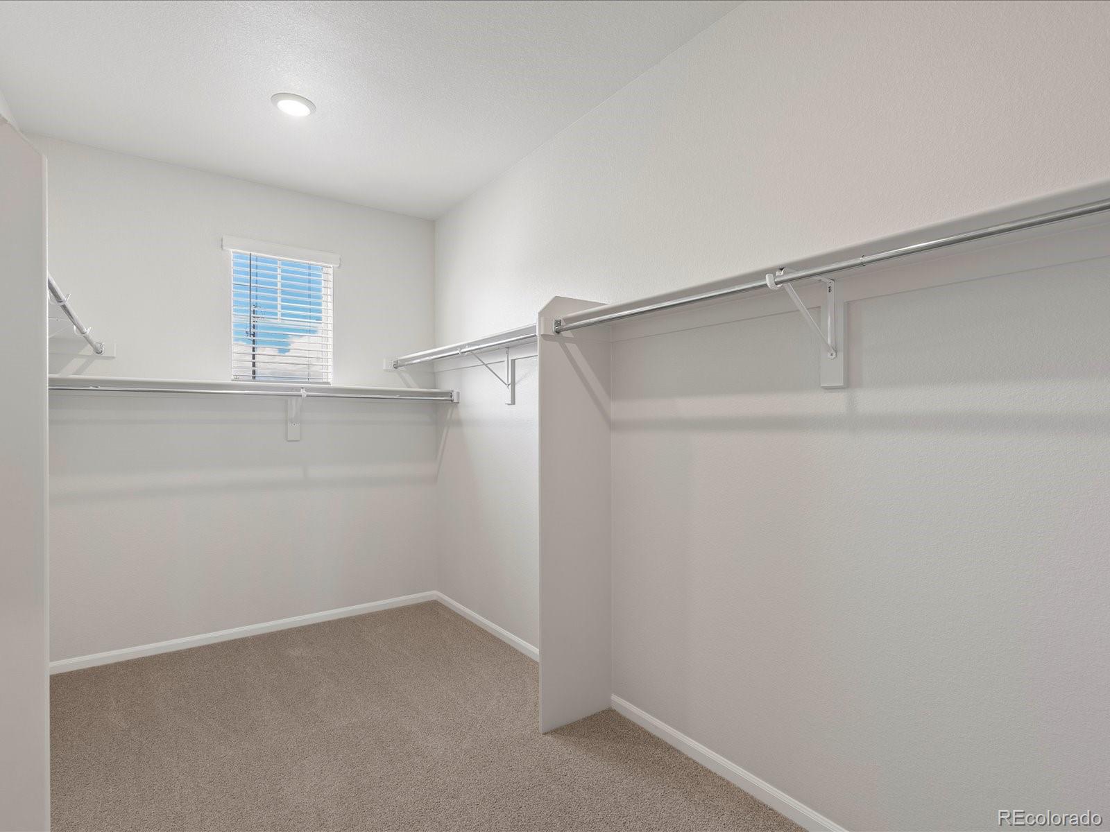 MLS Image #29 for 1637  yampa river drive,windsor, Colorado