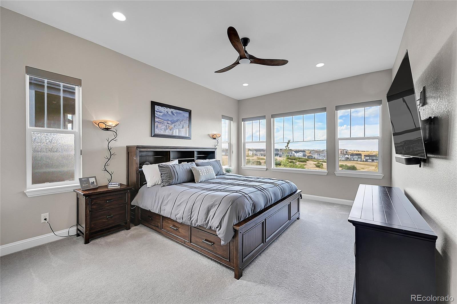 MLS Image #14 for 3303  carabiner street,castle rock, Colorado