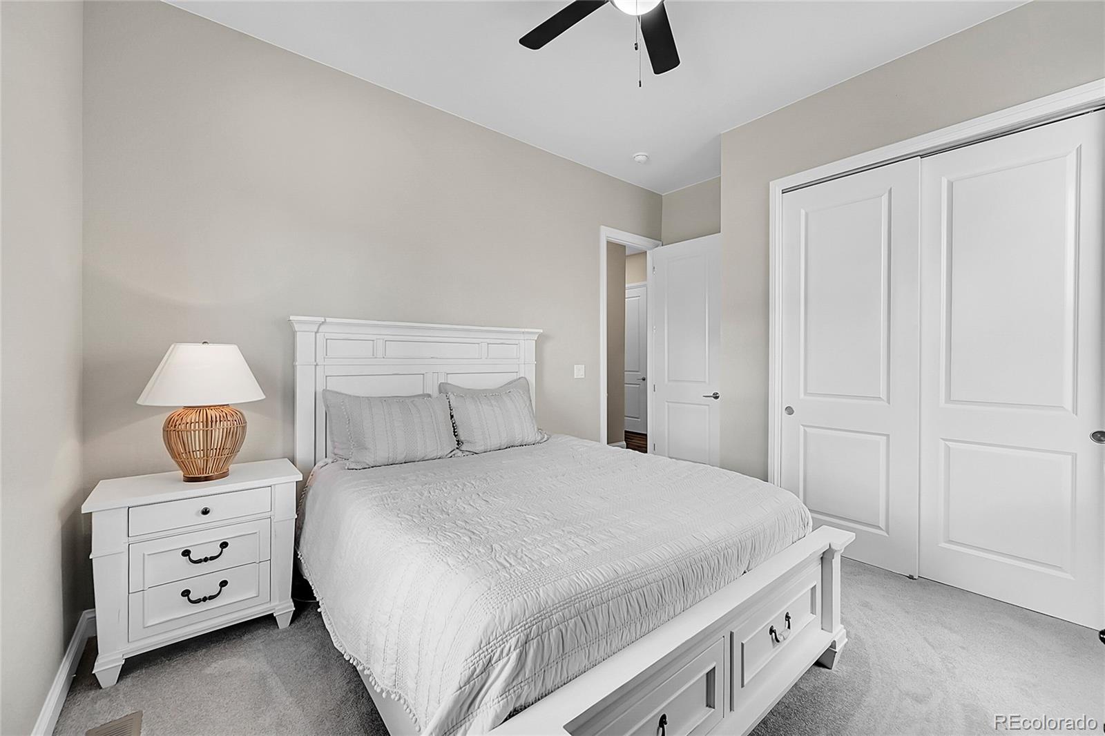 MLS Image #18 for 3303  carabiner street,castle rock, Colorado