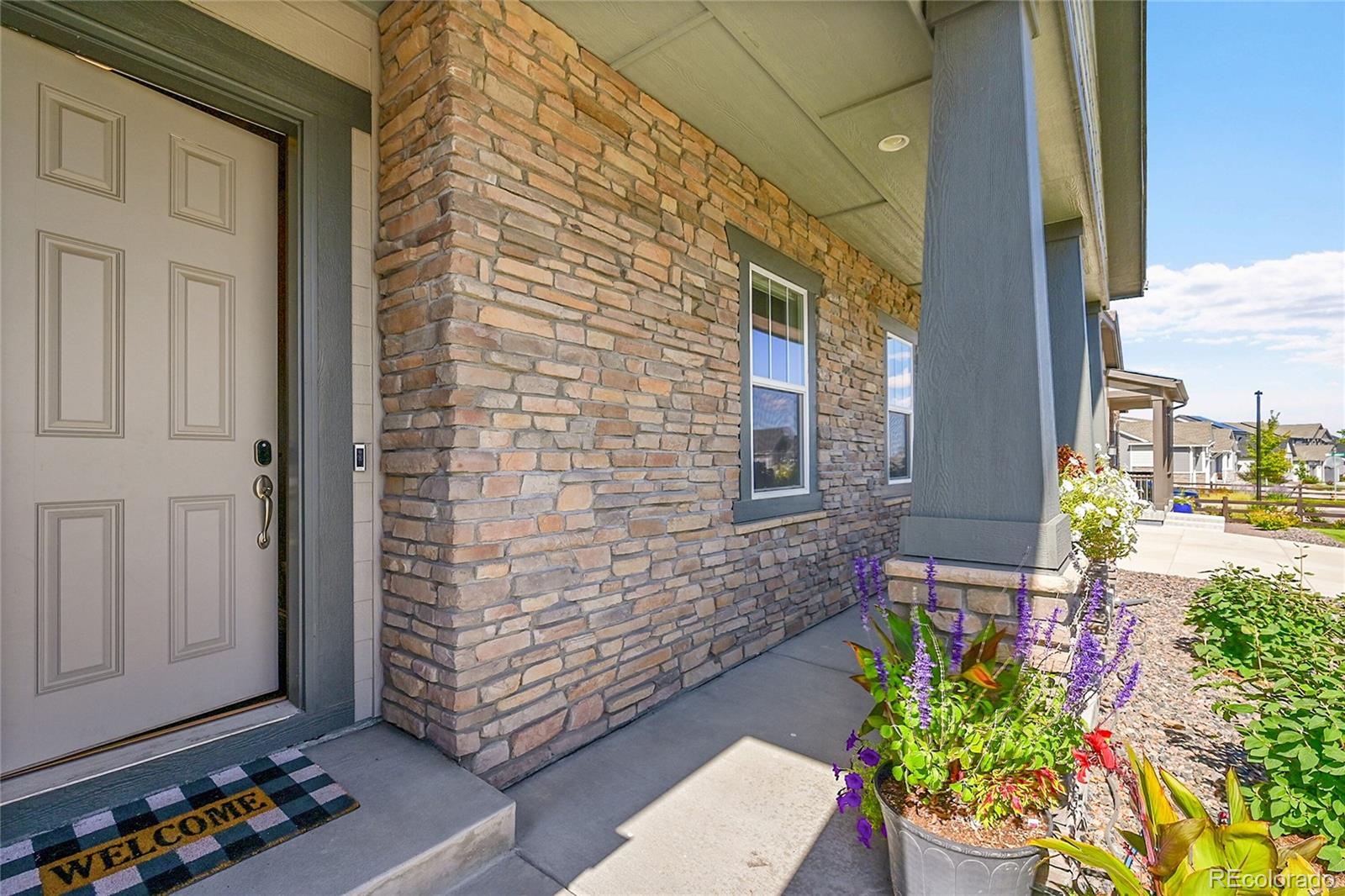MLS Image #3 for 3303  carabiner street,castle rock, Colorado