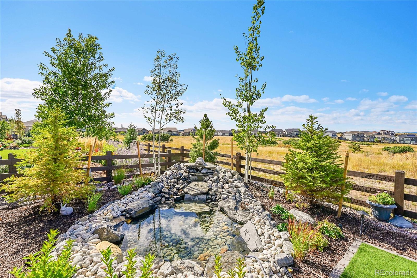 MLS Image #33 for 3303  carabiner street,castle rock, Colorado