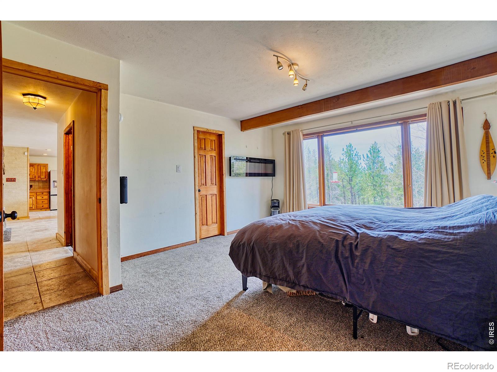 MLS Image #10 for 1447  coyote circle,black hawk, Colorado