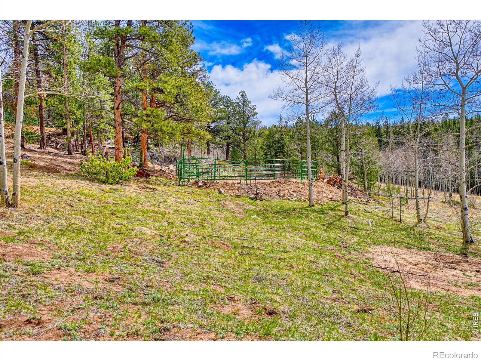 MLS Image #41 for 1447  coyote circle,black hawk, Colorado
