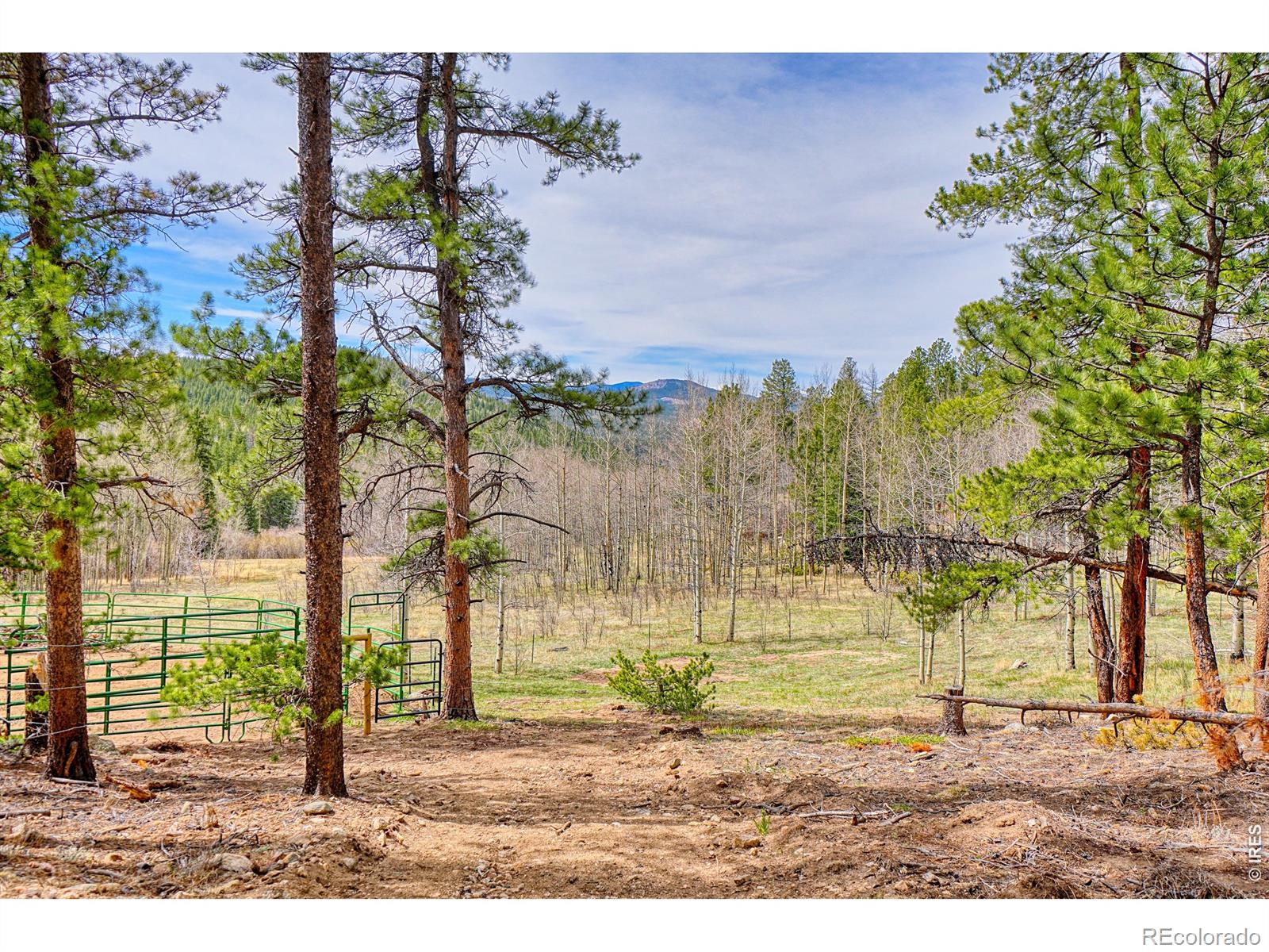 MLS Image #43 for 1447  coyote circle,black hawk, Colorado