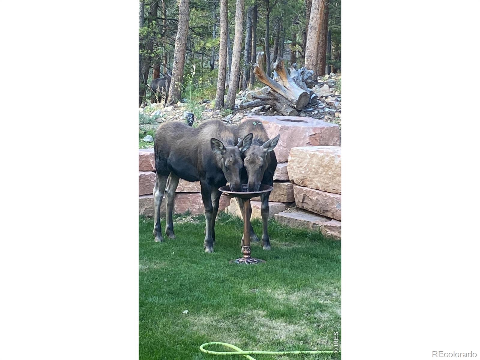 MLS Image #46 for 1447  coyote circle,black hawk, Colorado