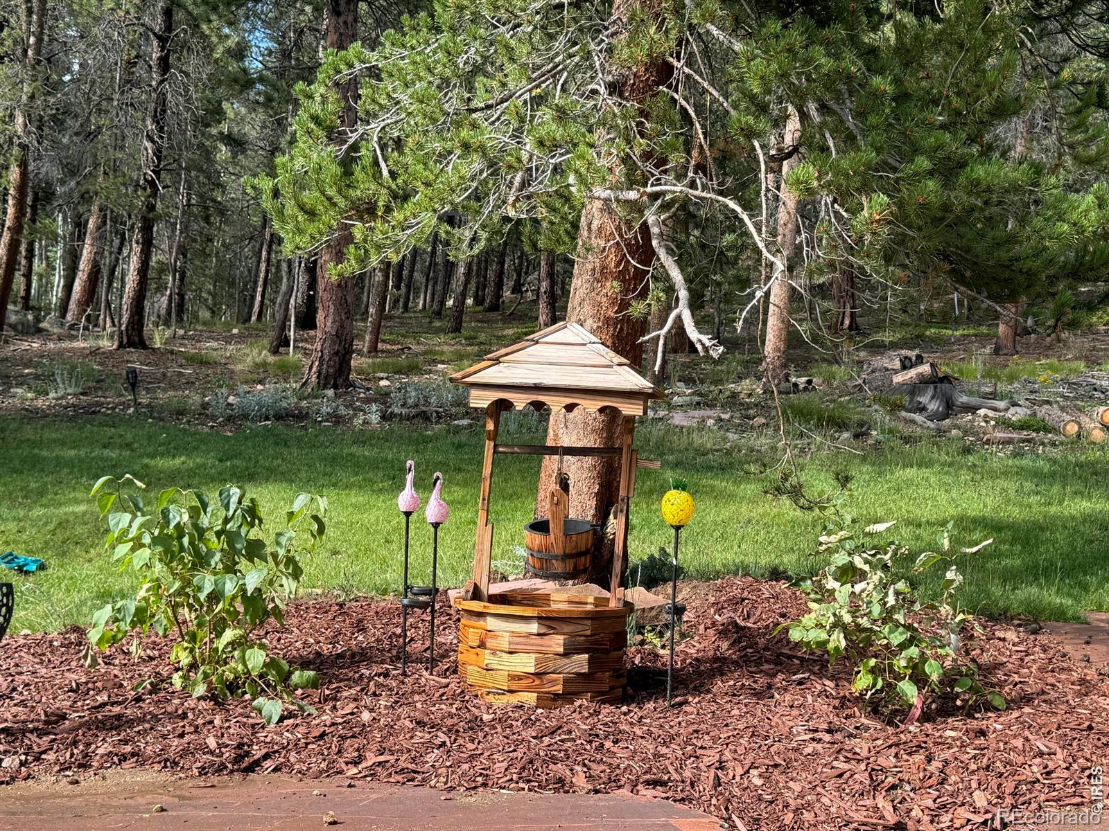 MLS Image #49 for 1447  coyote circle,black hawk, Colorado