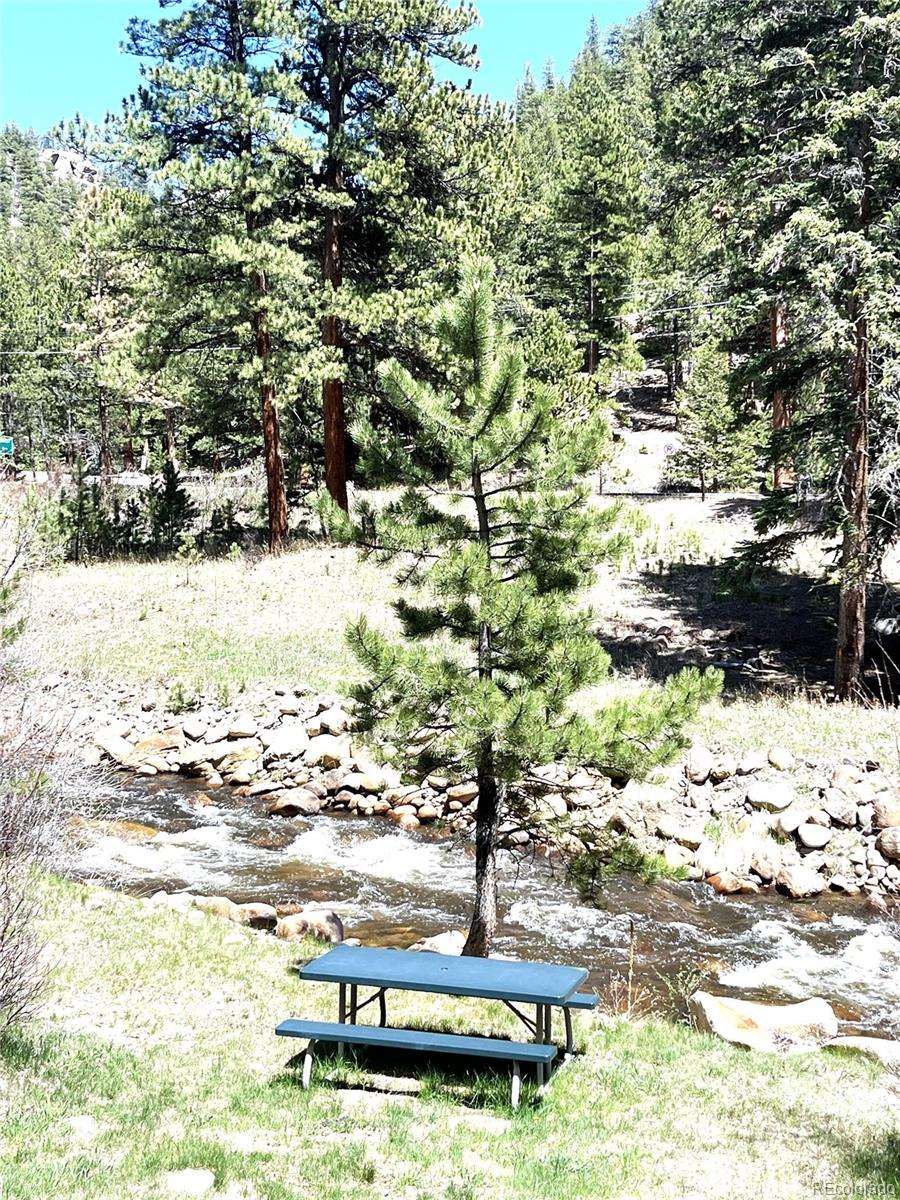 MLS Image #41 for 1400  david drive,estes park, Colorado