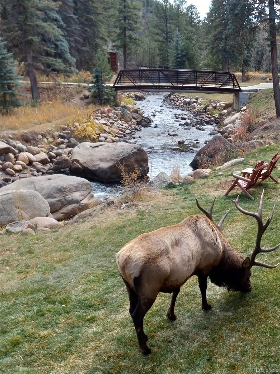 MLS Image #42 for 1400  david drive,estes park, Colorado