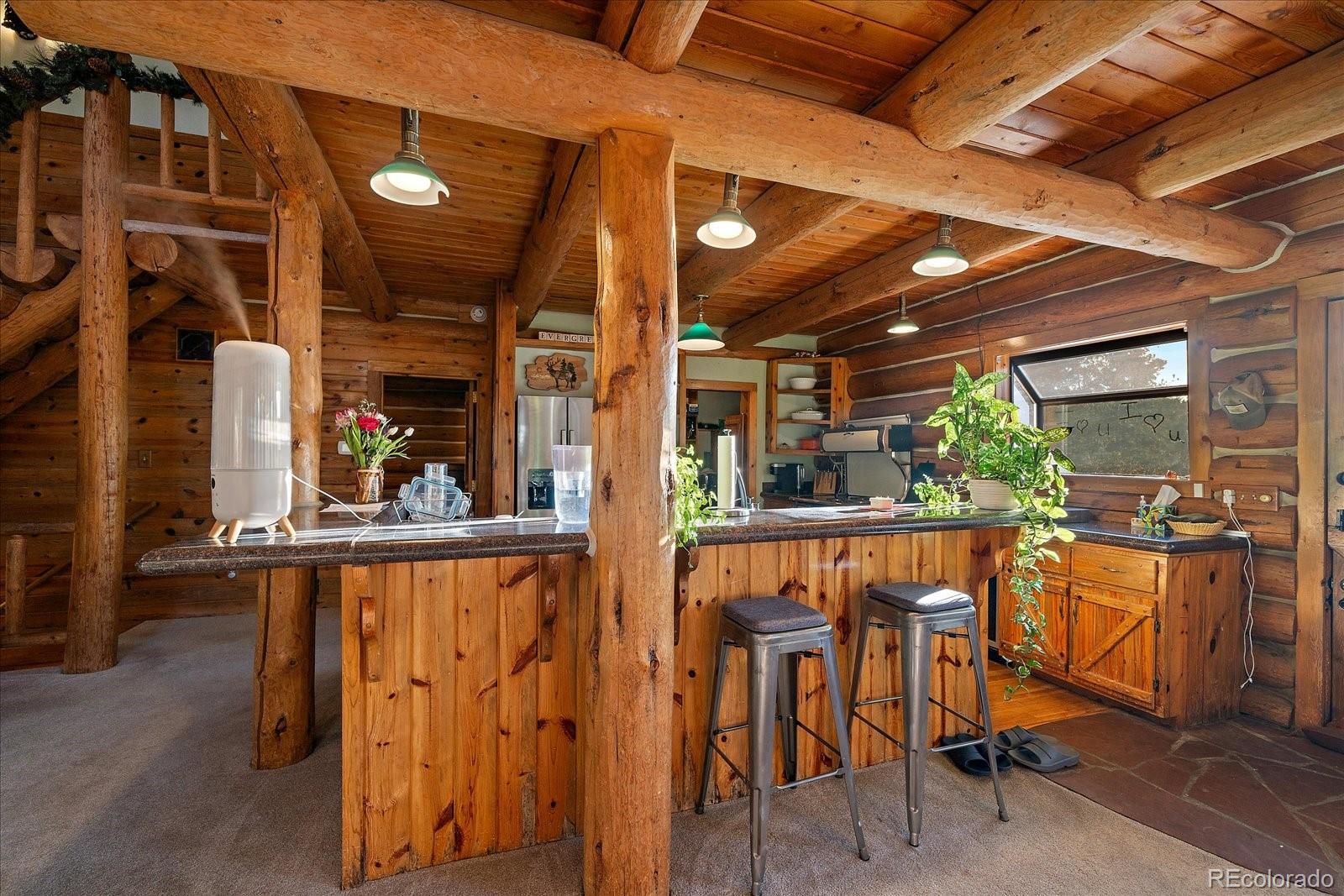 MLS Image #18 for 4660  independence trail,evergreen, Colorado